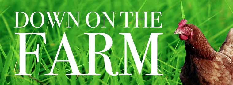 Down On The Farm